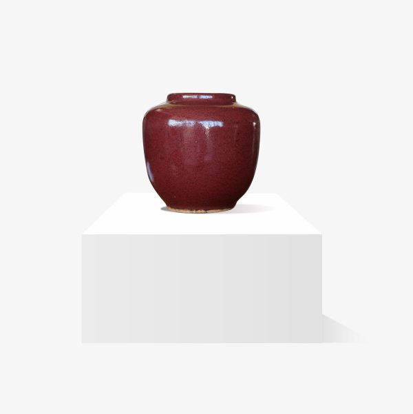 Lote 265, Florero Sang de boeuf